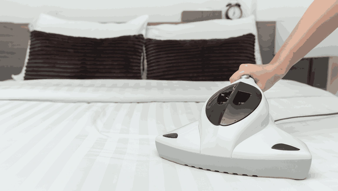Professional Mattress Cleaning Black Hill
